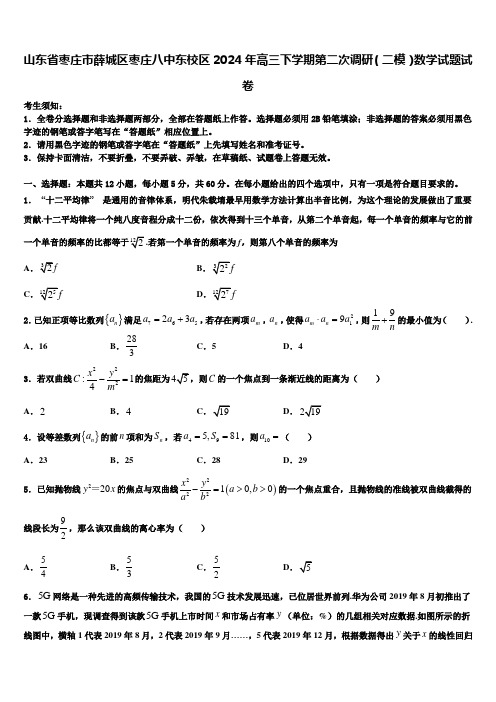 山东省枣庄市薛城区枣庄八中东校区2024年高三下学期第二次调研(二模)数学试题试卷