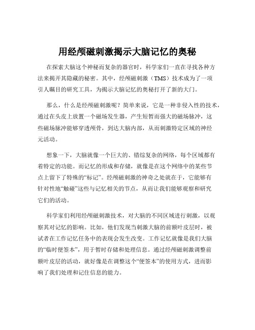 用经颅磁刺激揭示大脑记忆的奥秘