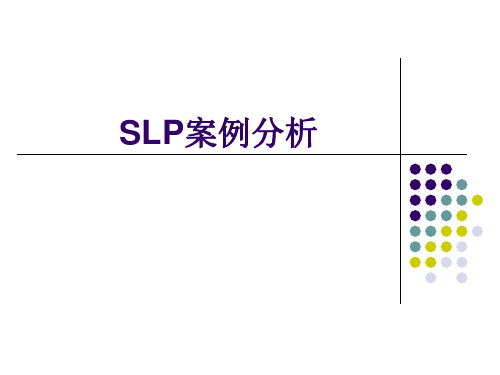 SLP案例实例解析