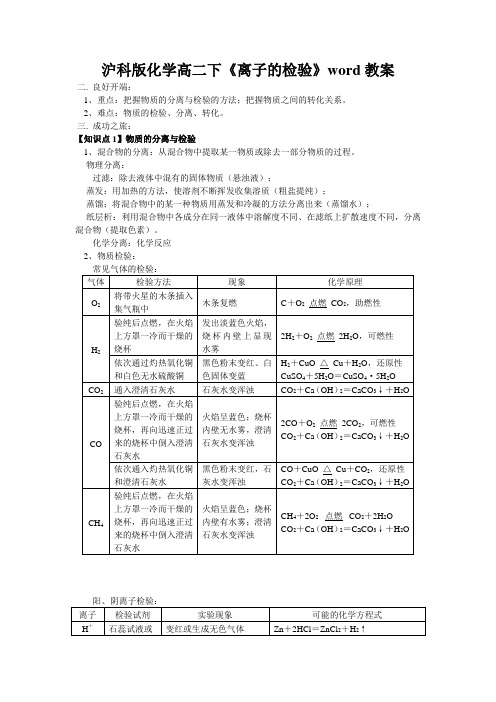 沪科版化学高二下《离子的检验》word教案