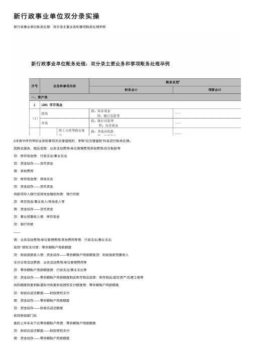 新行政事业单位双分录实操