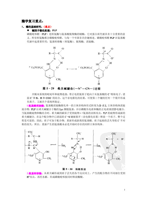 分子酶学复习