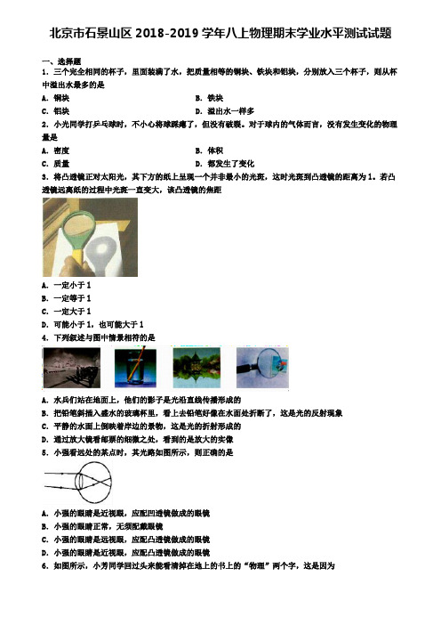 北京市石景山区2018-2019学年八上物理期末学业水平测试试题