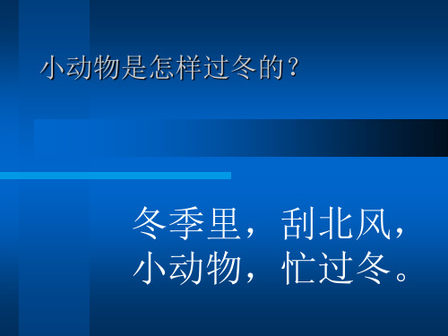 小动物是怎样过冬的？