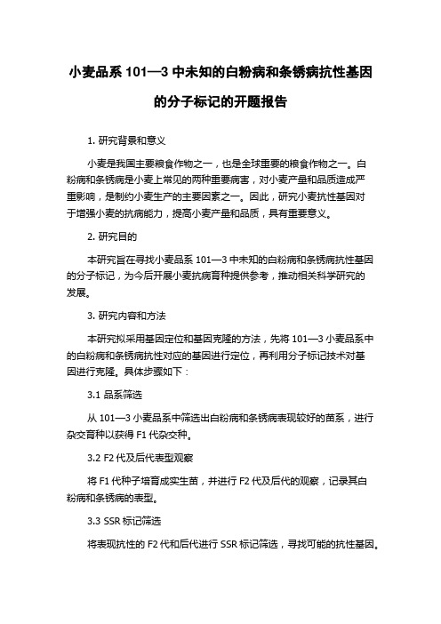 小麦品系101—3中未知的白粉病和条锈病抗性基因的分子标记的开题报告