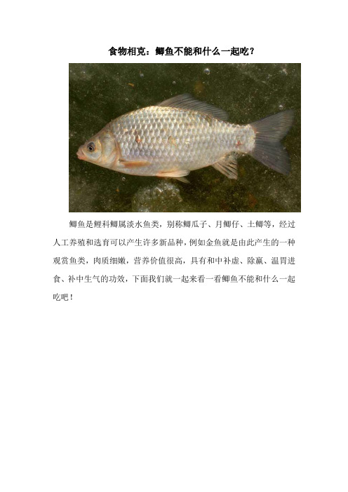 食物相克：鲫鱼不能和什么一起吃？