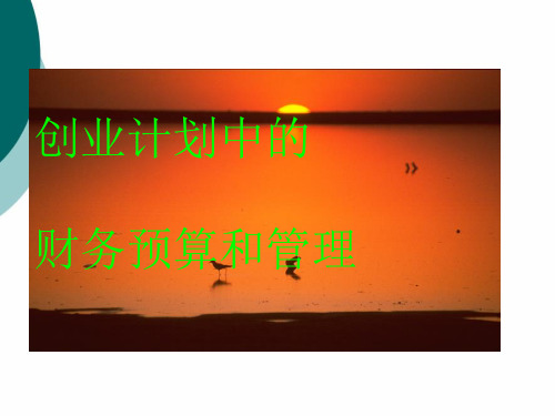 创业计划中的财务预算