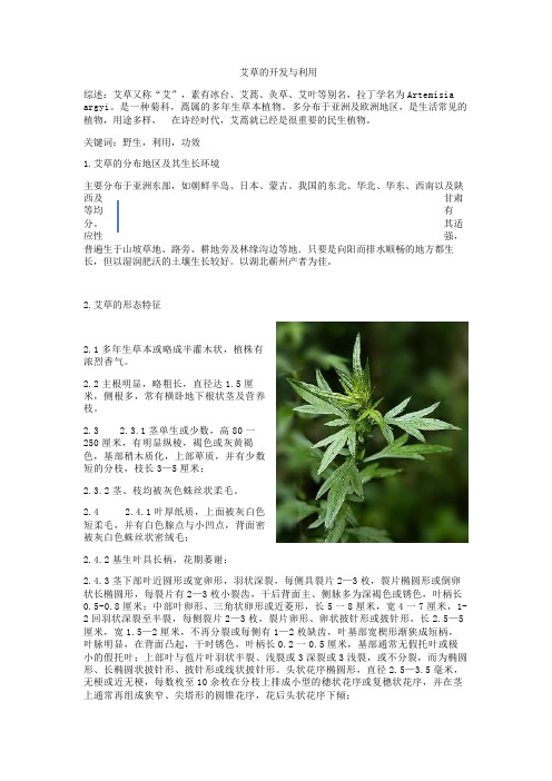 艾草——山野菜开发技术