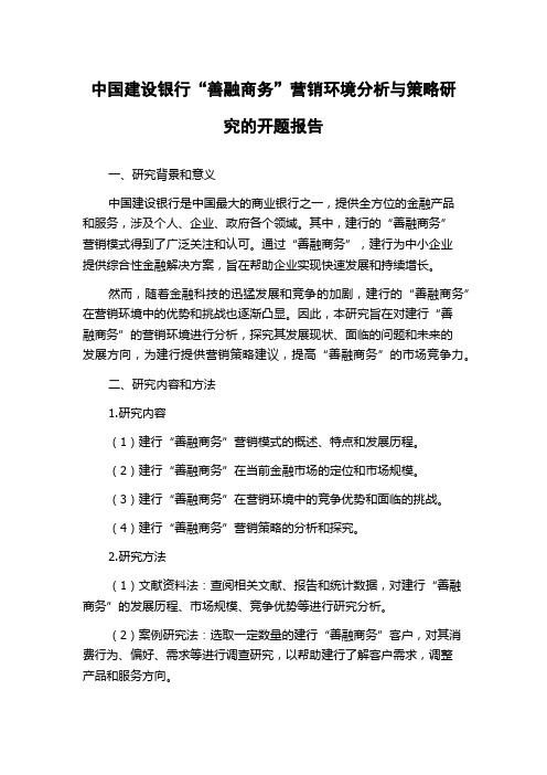 中国建设银行“善融商务”营销环境分析与策略研究的开题报告