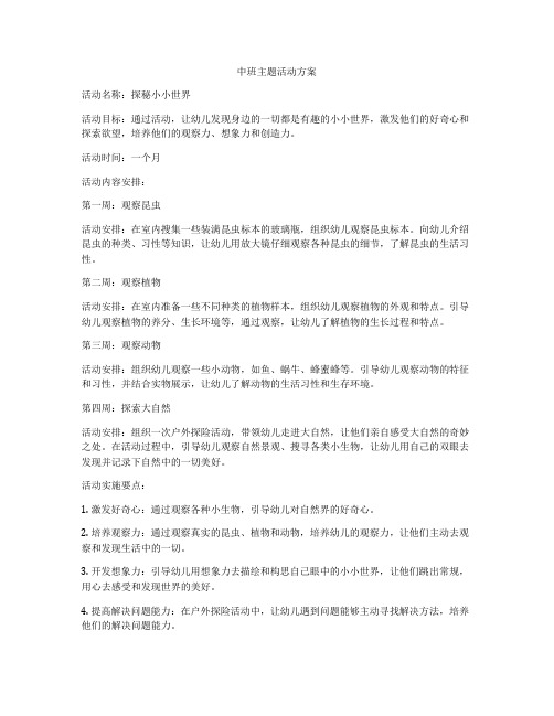 中班主题活动方案