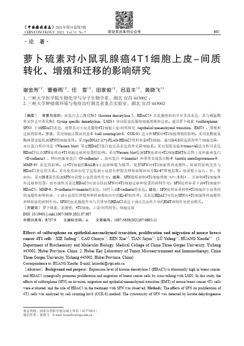 萝卜硫素对小鼠乳腺癌4T1细胞上皮-间质转化、增殖和迁移的影响研究