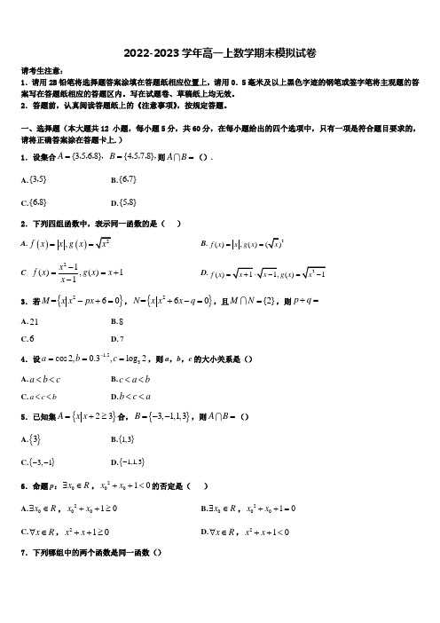 2023届黑龙江大庆实验中学数学高一上期末达标检测模拟试题含解析