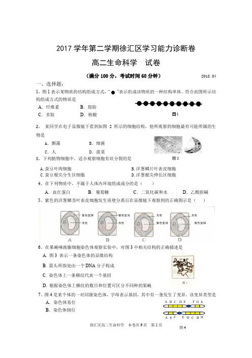 2017学年第二学期徐汇区学习能力诊断卷