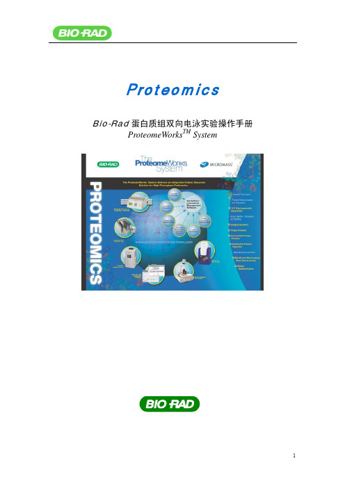 BIO-RAD双向电泳中文手册