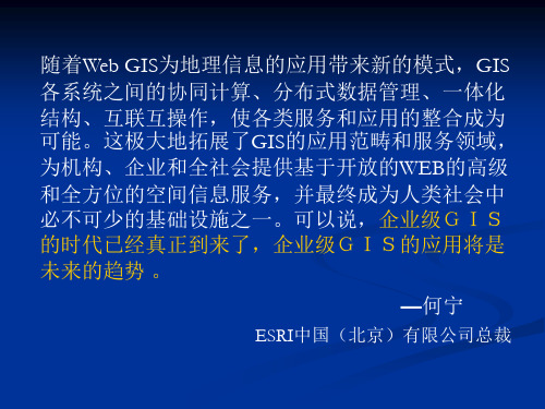 企业级GIS ( EGIS)