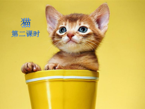 人教版四年级上册语文15 猫 第二课时PPT课件(共26张PPT)