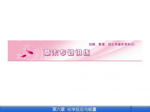 2012《金版新学案》高三一轮(安徽专版)化学(课件 线下作业):第六章章末专题讲练