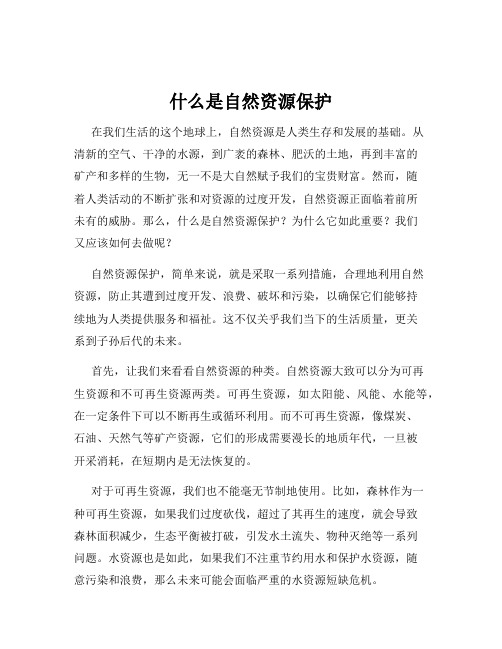 什么是自然资源保护