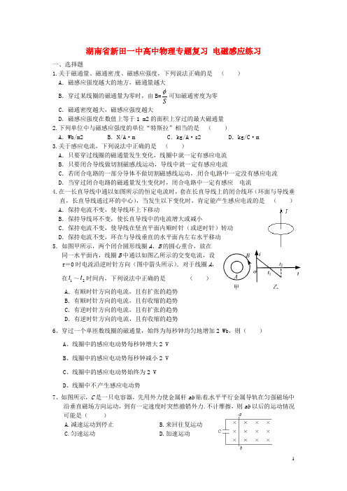 湖南省新田一中高中物理专题复习 电磁感应练习