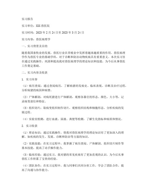 兽医病理学实习报告