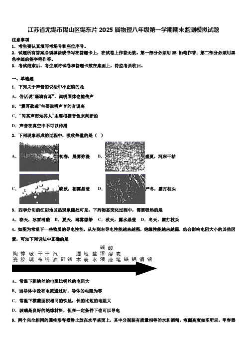 江苏省无锡市锡山区锡东片2025届物理八年级第一学期期末监测模拟试题含解析