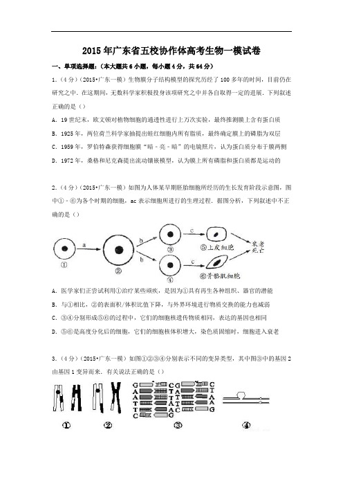 高中生物试题及答案-广东省五校协作体2015届高考一模