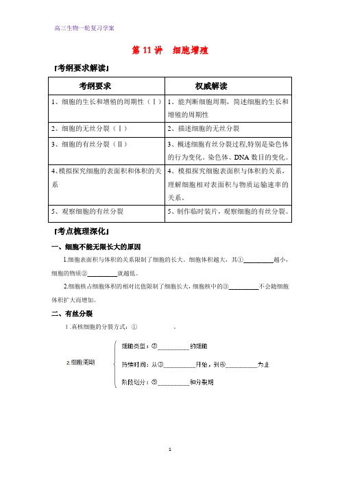 高三生物一轮复习精品学案3：第11讲 细胞的增殖