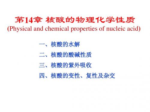 核酸的物理化学性质和第15章核酸的研究方法辅导版