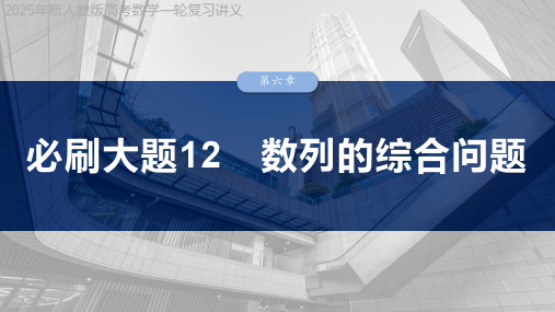 2025年新人教版高考数学一轮复习讲义  第六章 必刷大题12 数列的综合问题