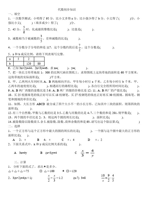 六年级小升初复习代数初步练习