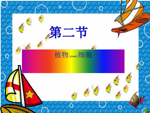七年级生物上册第二单元第一章第二节《植物细胞》