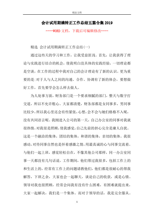 会计试用期满转正工作总结五篇合集2019