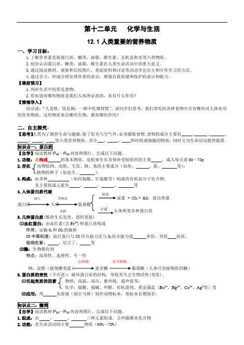 九年级化学第12单元 课题1 人类重要的营养物质