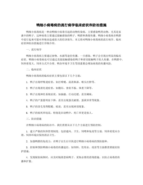 鸭细小病毒病的流行病学临床症状和防治措施