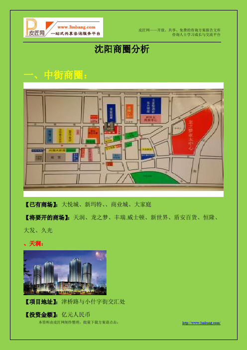 沈阳市商圈市场分析研究报告