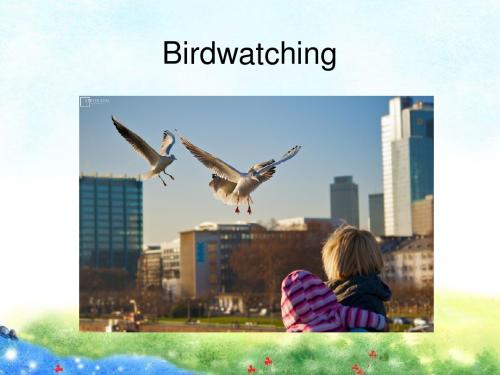 新版牛津英语8A unit6 birdwatching comic reading speak up task