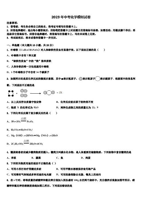 2023届陕西省榆林市重点中学中考化学猜题卷含解析
