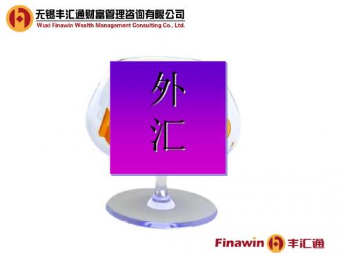 外汇理财产品知识介绍(ppt 30页)