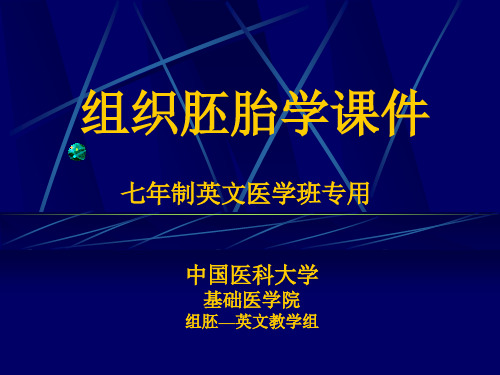 7神经组织