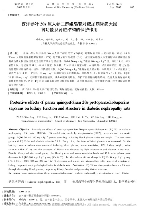 西洋参叶20s_原人参二醇组皂苷_省略_病大鼠肾功能及肾脏结构的保护作用_臧晓峰