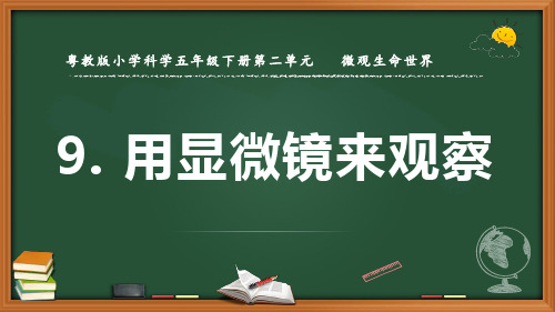 最新粤教版科学五年级下册《用显微镜来观察》优质课件