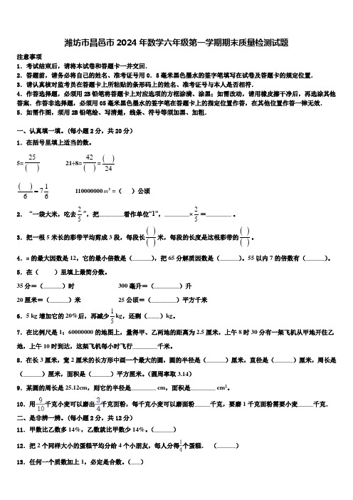 潍坊市昌邑市2024年数学六年级第一学期期末质量检测试题含解析