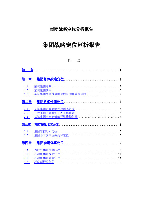 集团战略定位分析报告