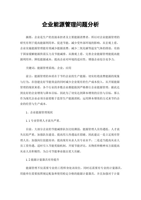 企业能源管理问题分析