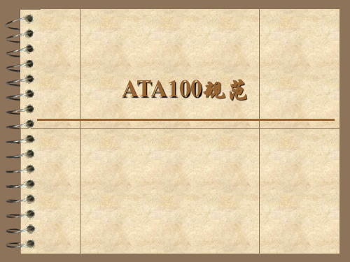 ATA100规范