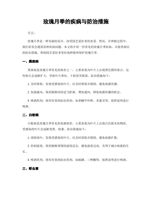 玫瑰月季的疾病与防治措施