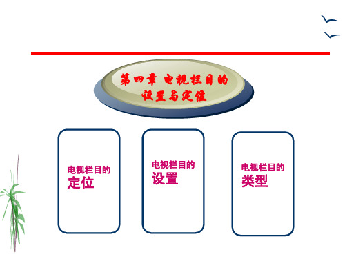 第四章 电视栏目的设置与定位