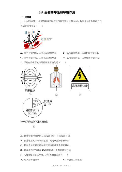 3.5 生物的呼吸和呼吸作用 同步练习题---浙江省温州市英才学校浙教版科学八年级下学期