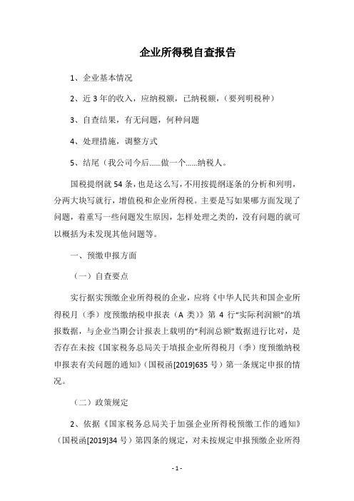 2019企业所得税自查报告