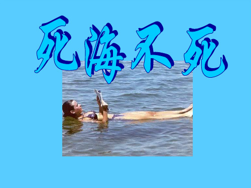 《死海不死》PPT课件3